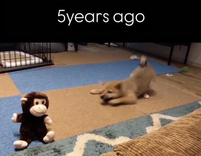 驚いて前足がピョンッ