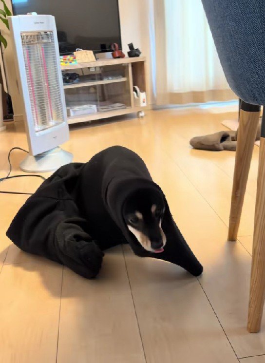 ドツボにはまるばかり