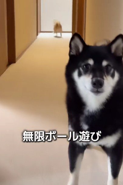 マイペースなあさちゃん