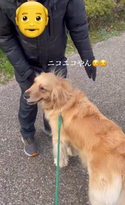 ナデナデを催促