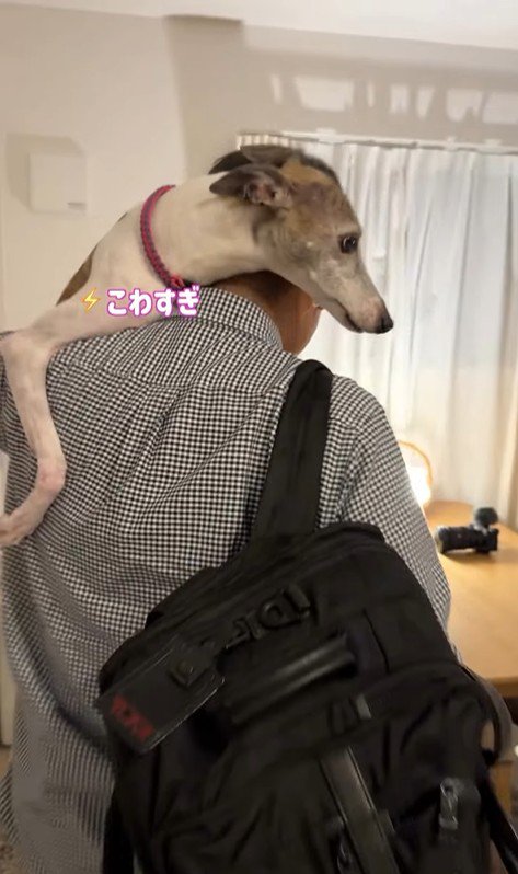 雷が鳴った時のきびちゃん5