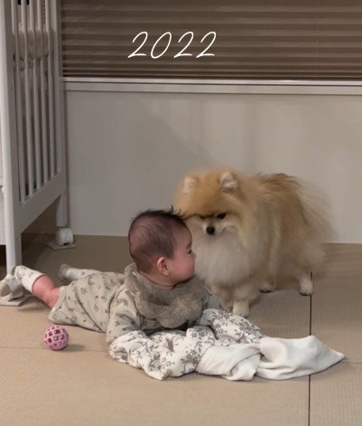 生まれたときから一緒