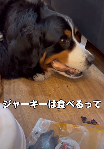 最期の食事はジャーキー