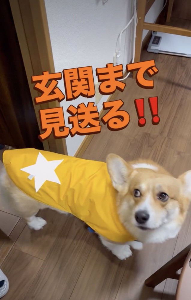 一気に上機嫌に