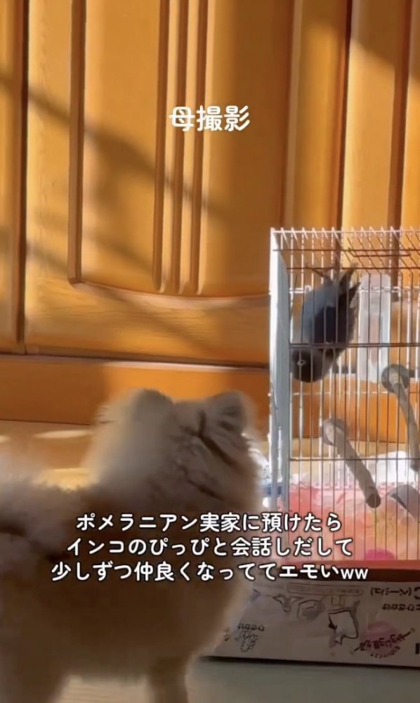 降りてきてくれた