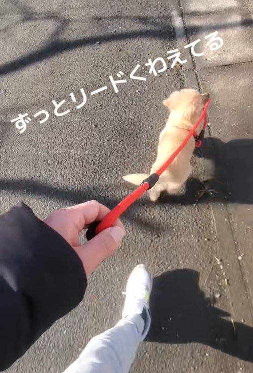 完全に立場が逆転（笑）