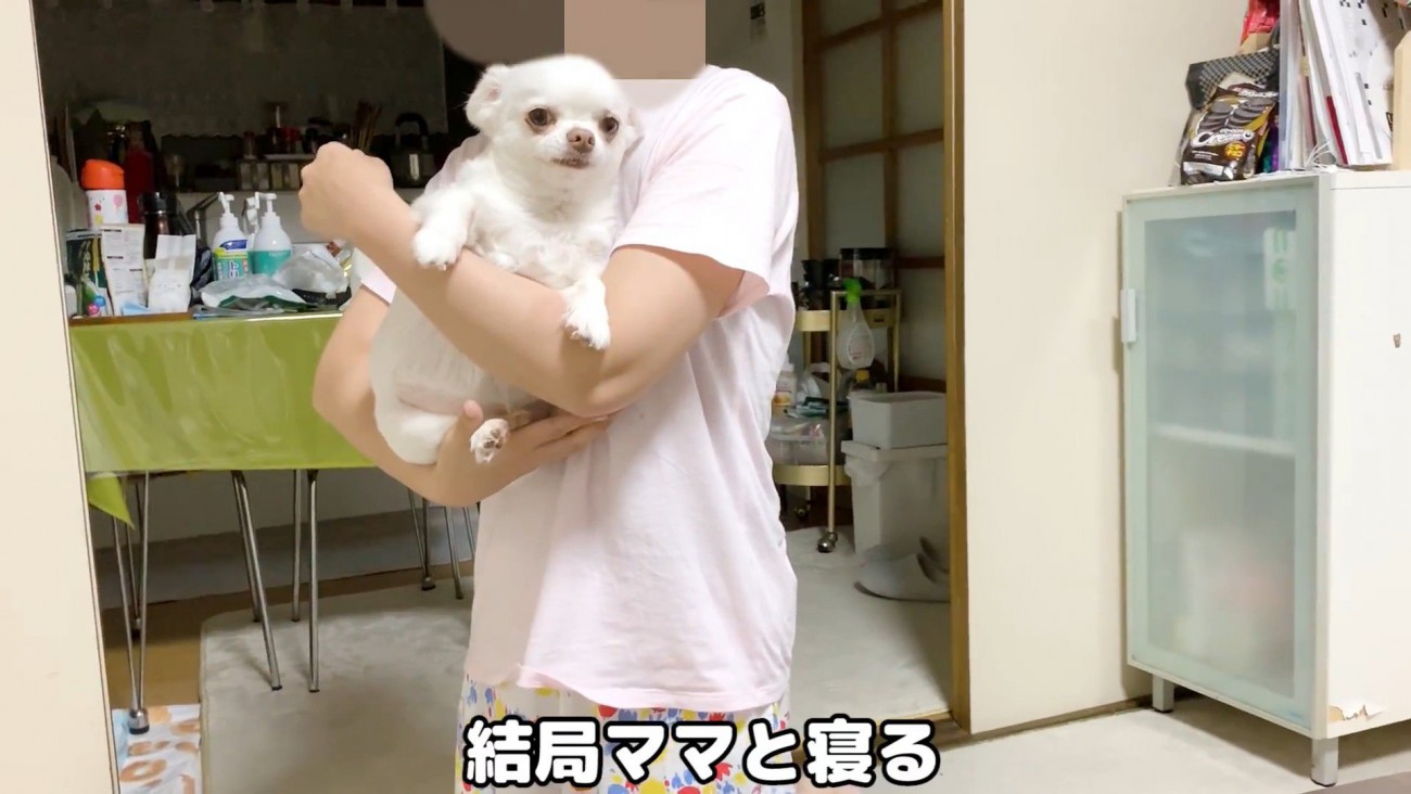 最後は大人しく抱っこされました♡