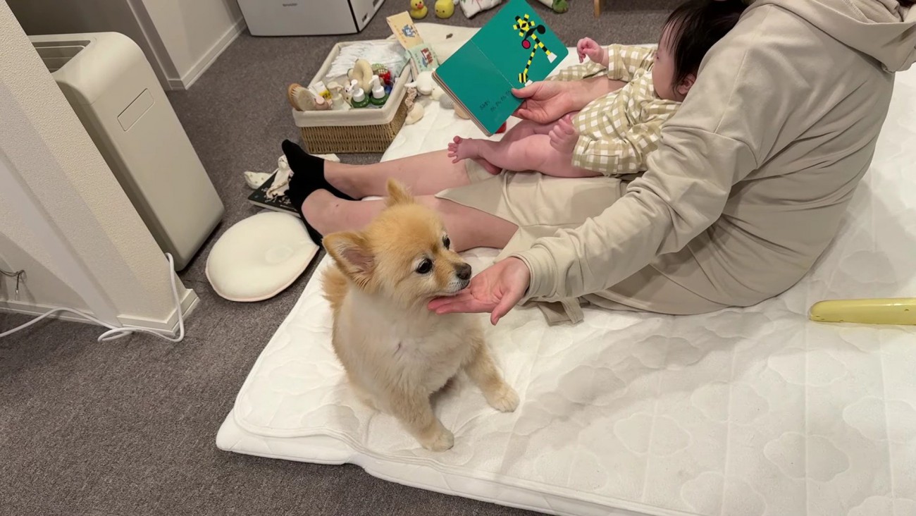 家族団らんっていいなあ…♡