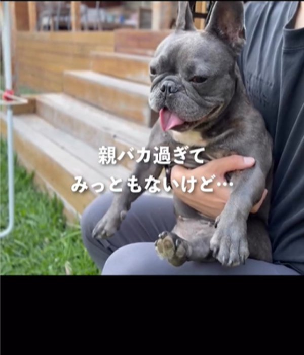 抱っこされる犬1