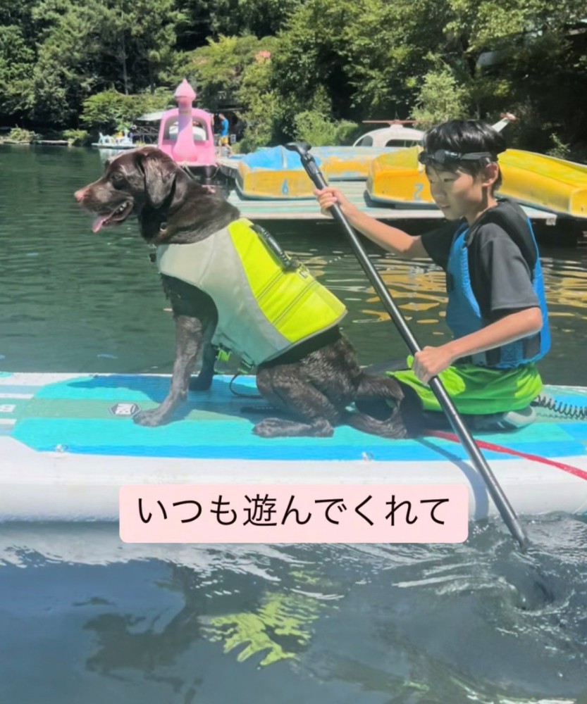 水上ボードに乗っている子どもと犬