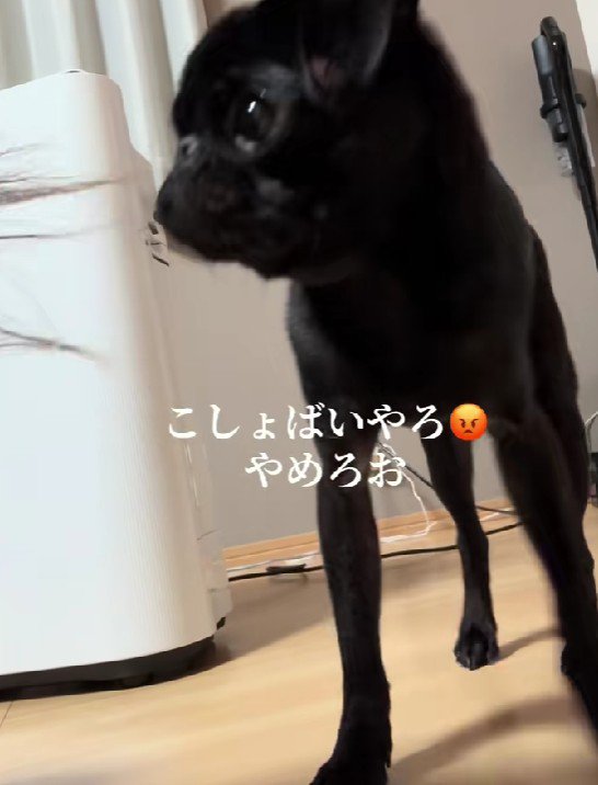 とってもラインが綺麗