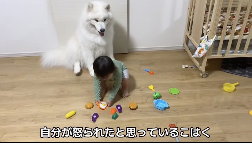 「ごめんよ…」