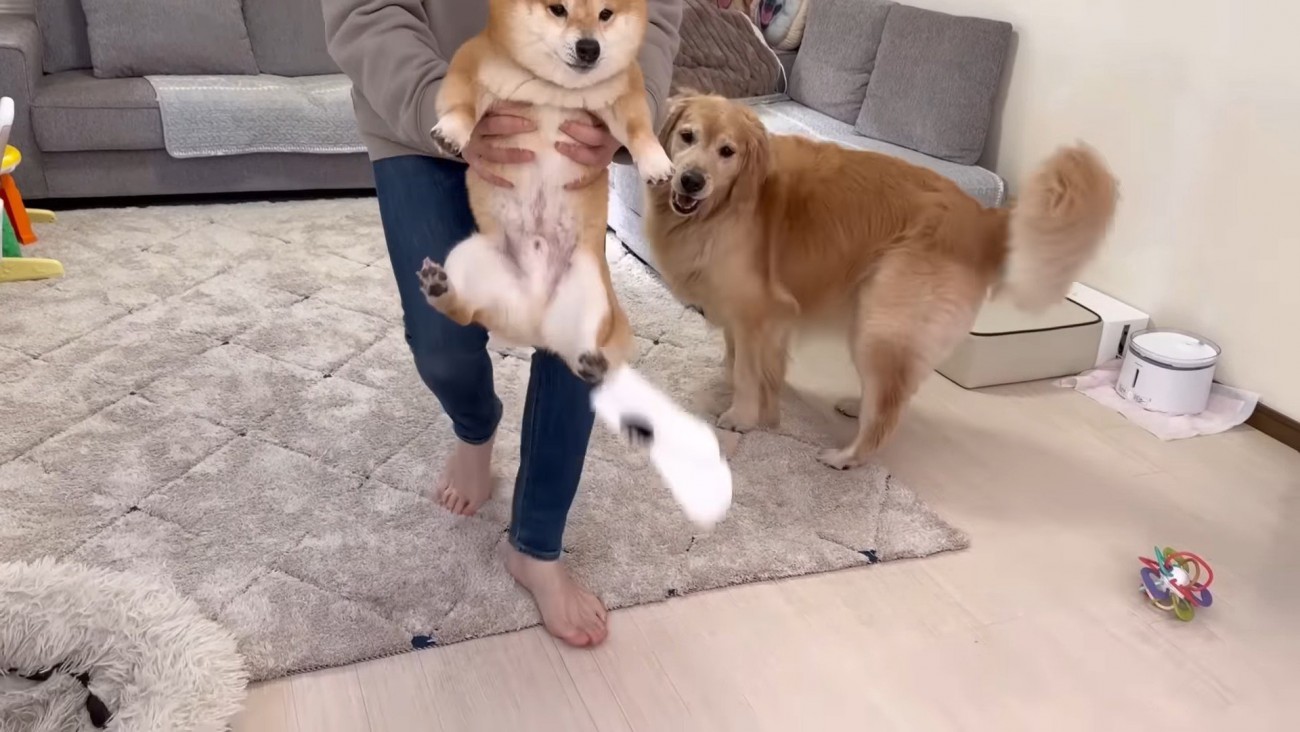 靴下を盗んでパパに捕まった！