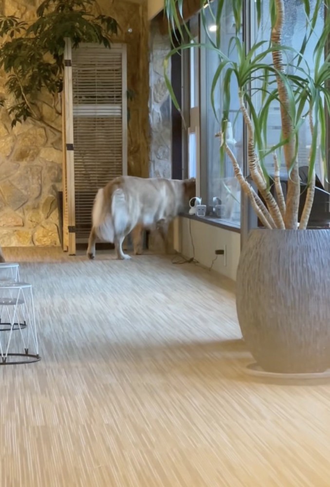 「今のなに…？」