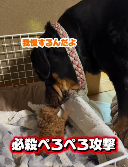 外へ出ないようサポート