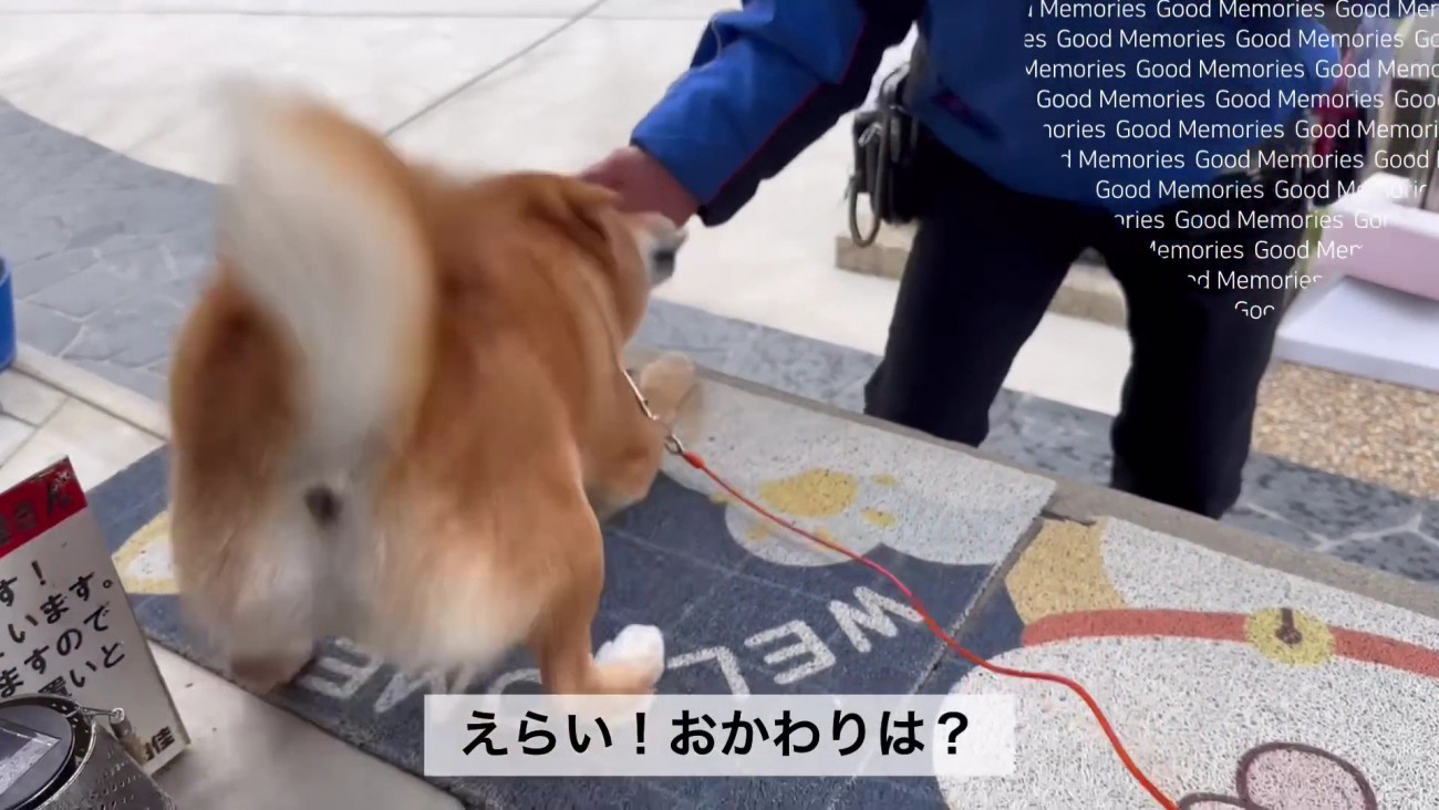 大喜びでお出迎え！