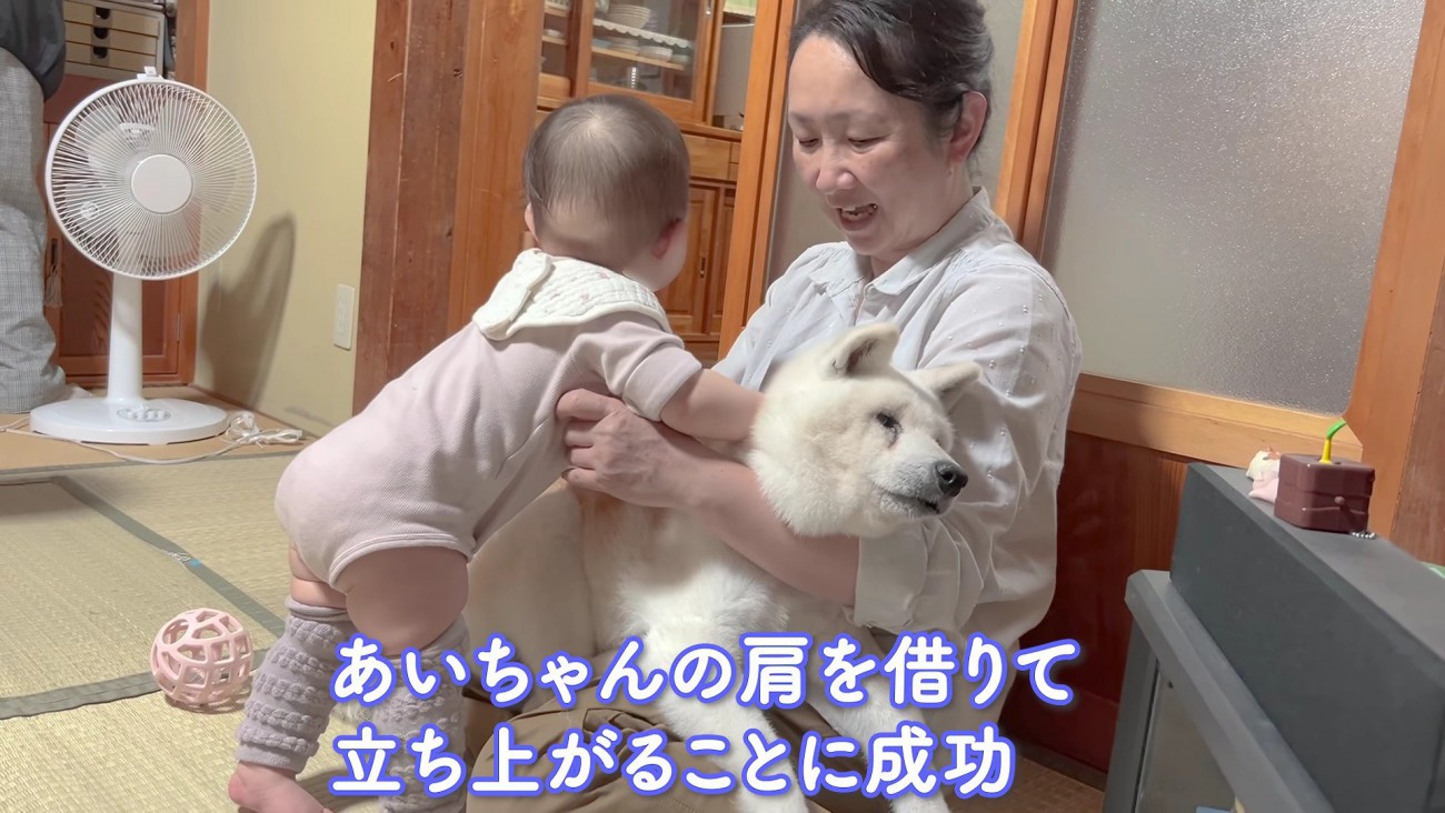 赤ちゃんのことは受け入れます