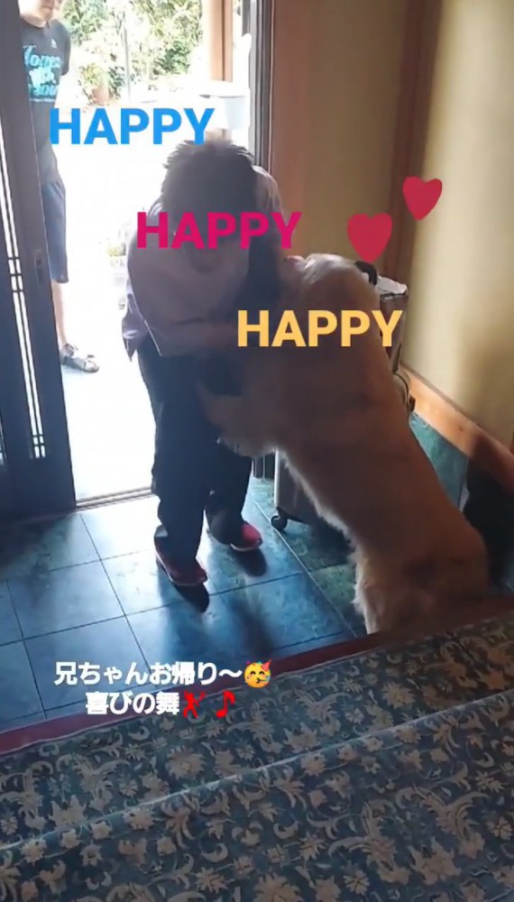 飛びつく大型犬