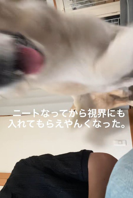 通り過ぎただけだった