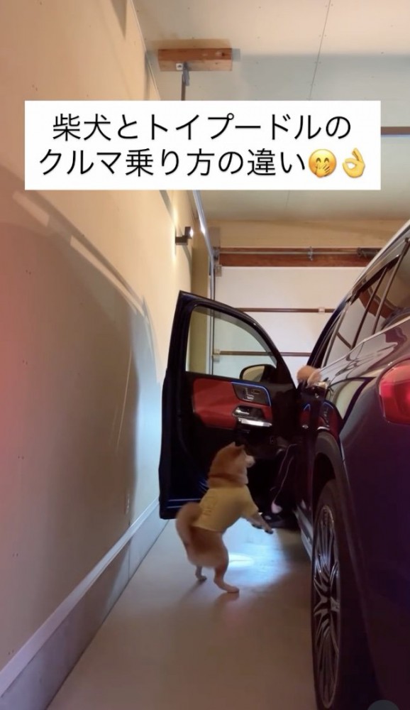 「連れてってよぉ」