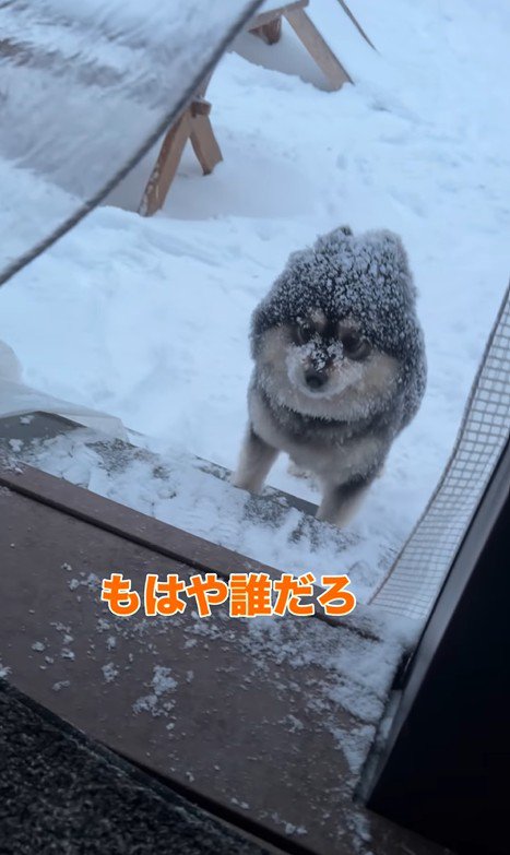 龍之介くんの雪遊び⑩