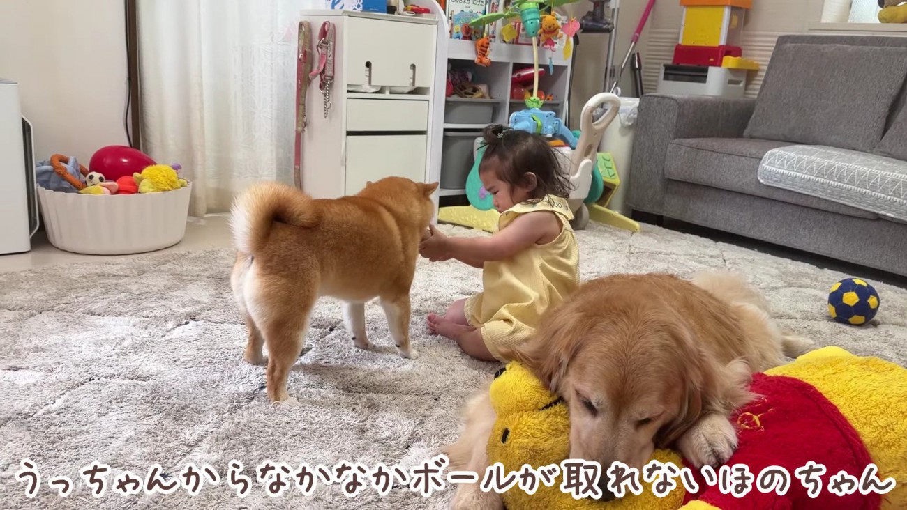 悔しさが募るほのちゃん