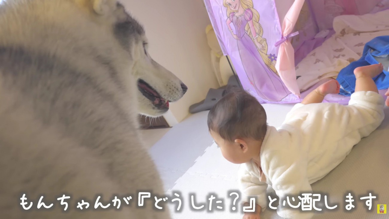 「大丈夫？」