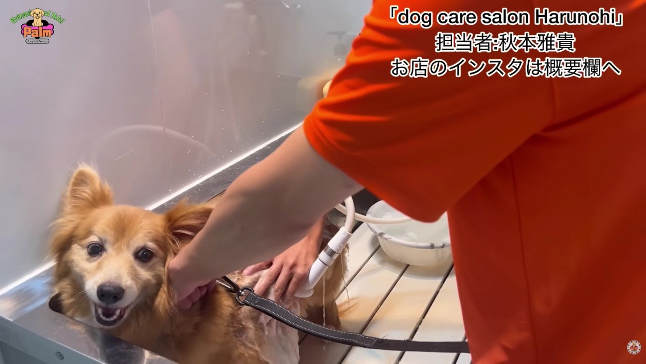 意外にも落ち着いている