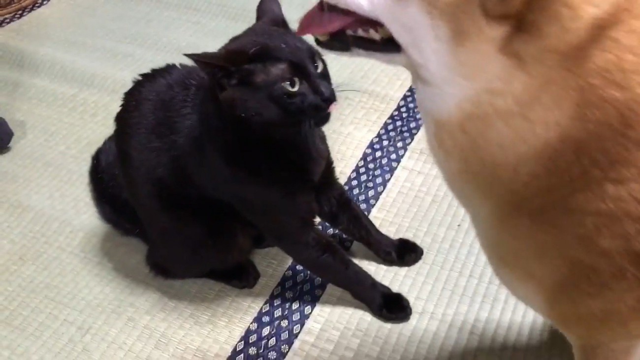 天くん、強い…！（笑）