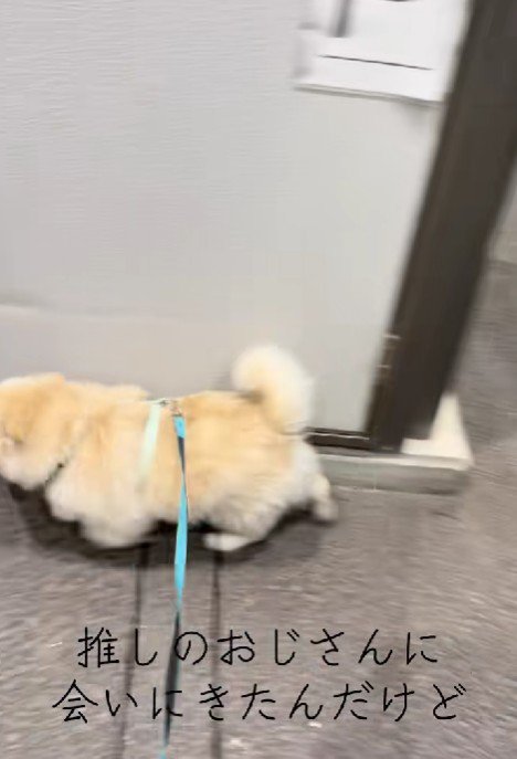 「おじさんいるかな？」