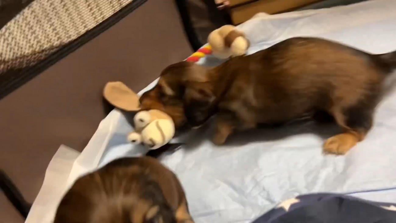 おもちゃを取られていじけるジャンボくん