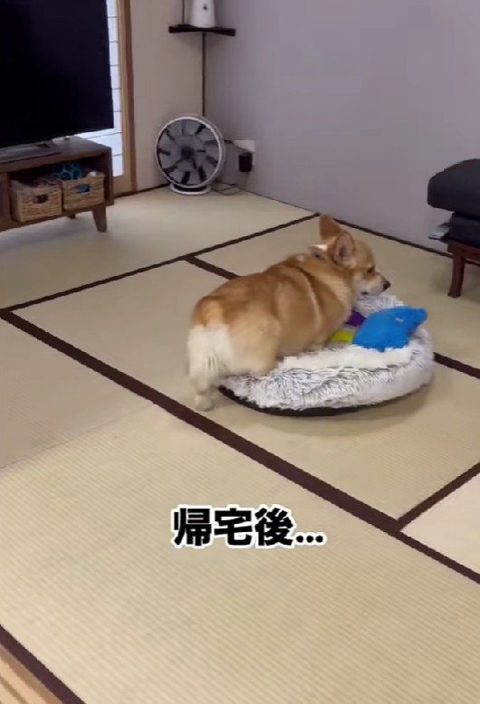 家に戻ってくると…