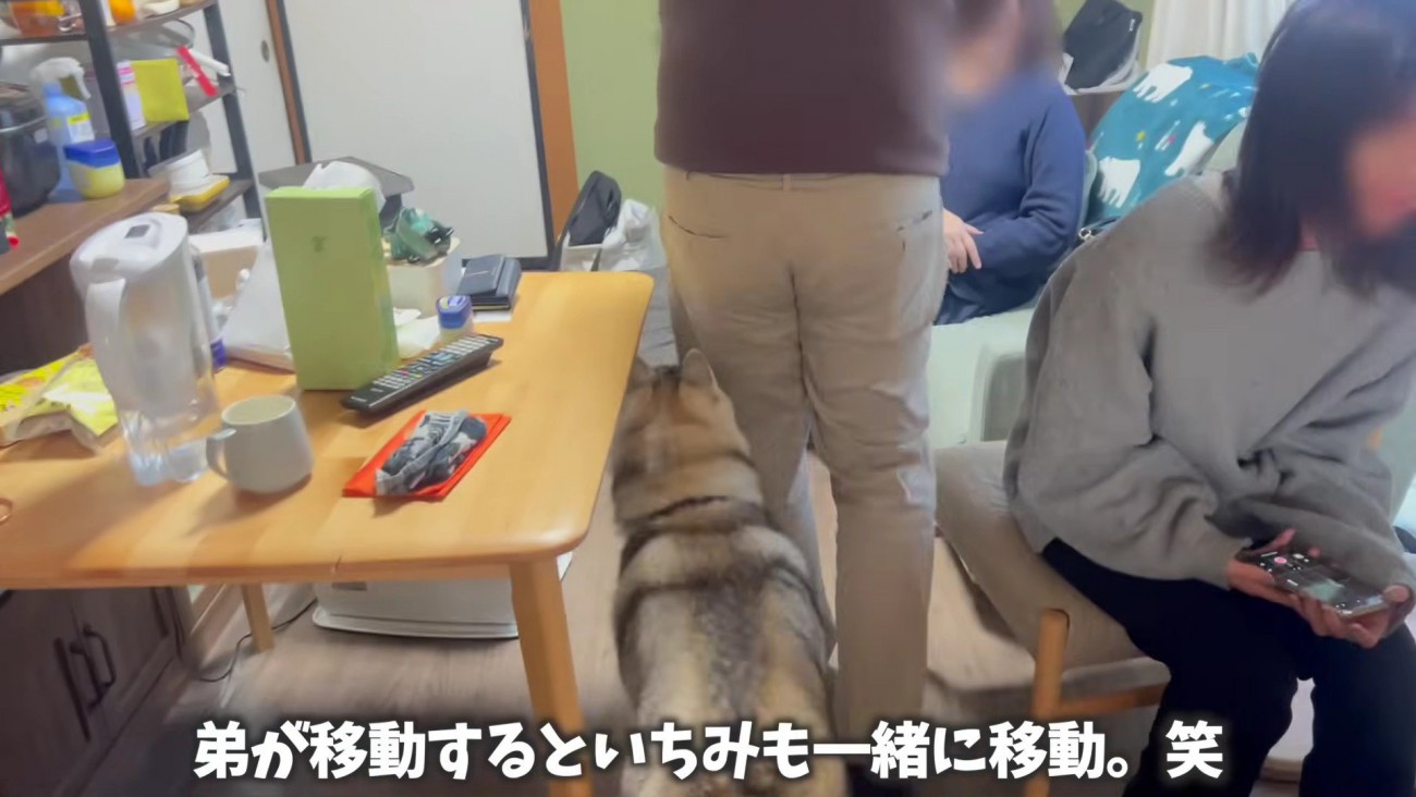 「どこに行くの～」