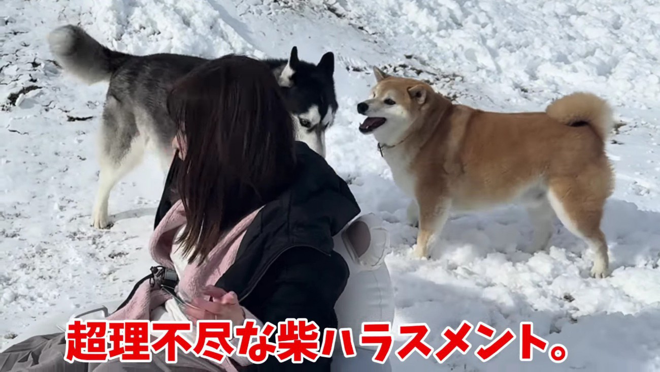 おもちくんが寄ってきて…