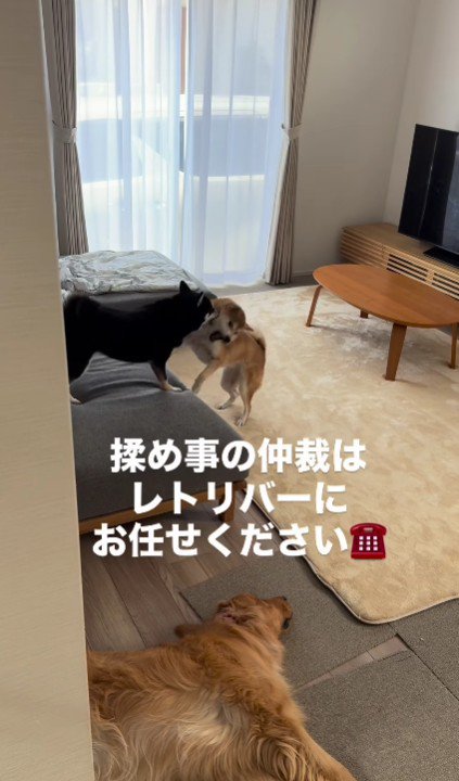 福ちゃんがお昼寝中に…