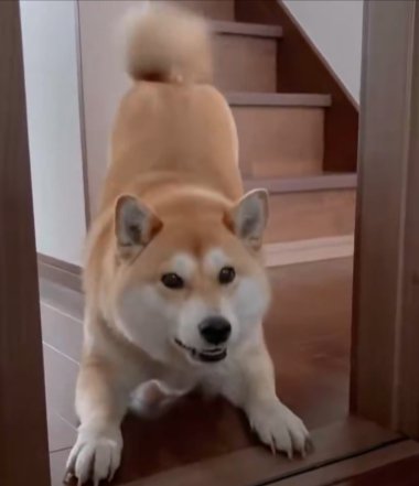 どうしたの