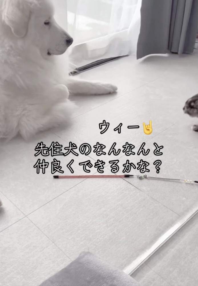 ノーリアクション