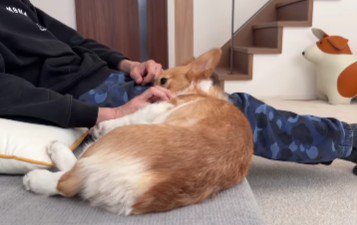 パパに甘え中♡