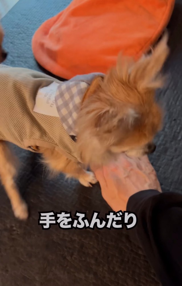 手を踏んでいく