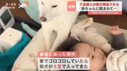 赤ちゃんのベッドに入るおまめくん