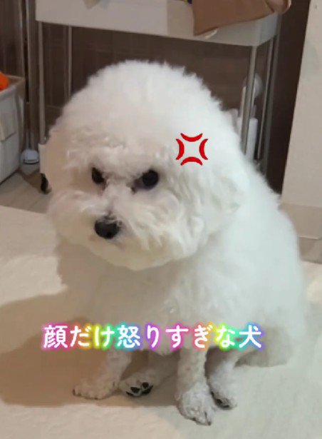 怒り顔に！？