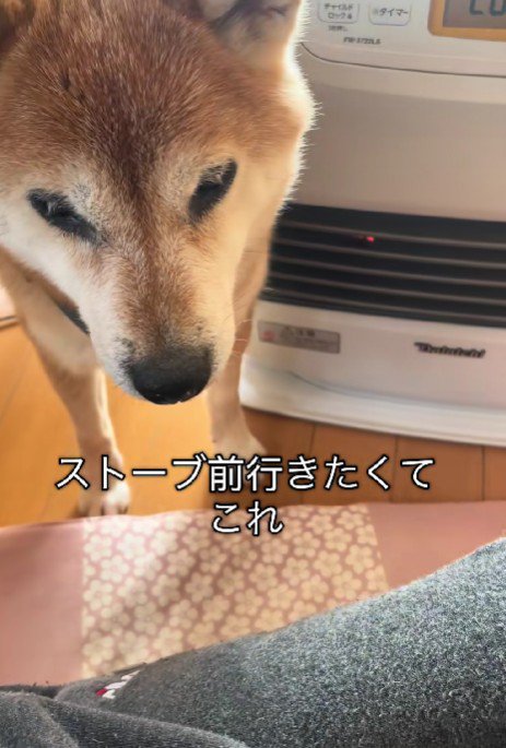 「そこは私の場所だよ」