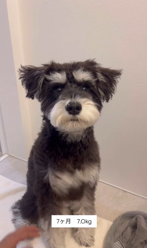 ボセくんの成長記録5