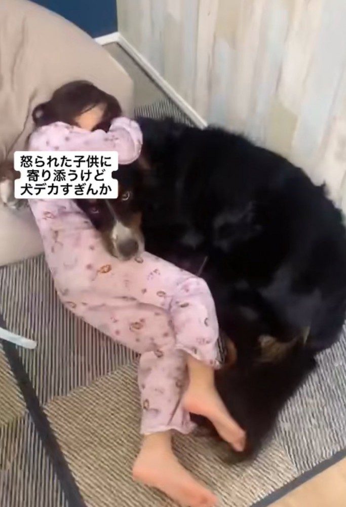 寄り添う超大型犬