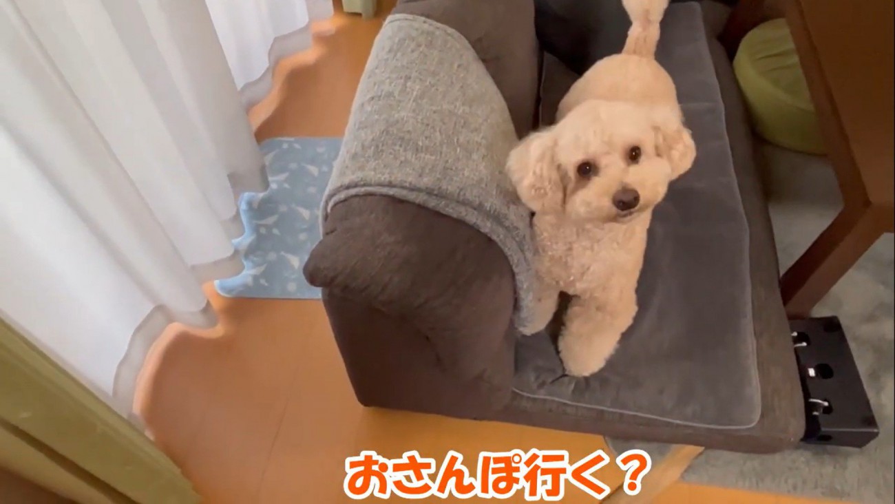 次の日も誘ってみたら…
