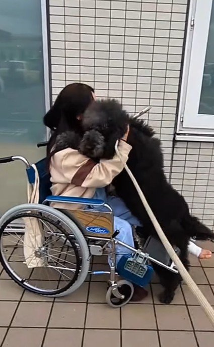 走って投稿主さんにハグ