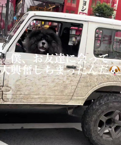 友達を見つけた小次郎くん
