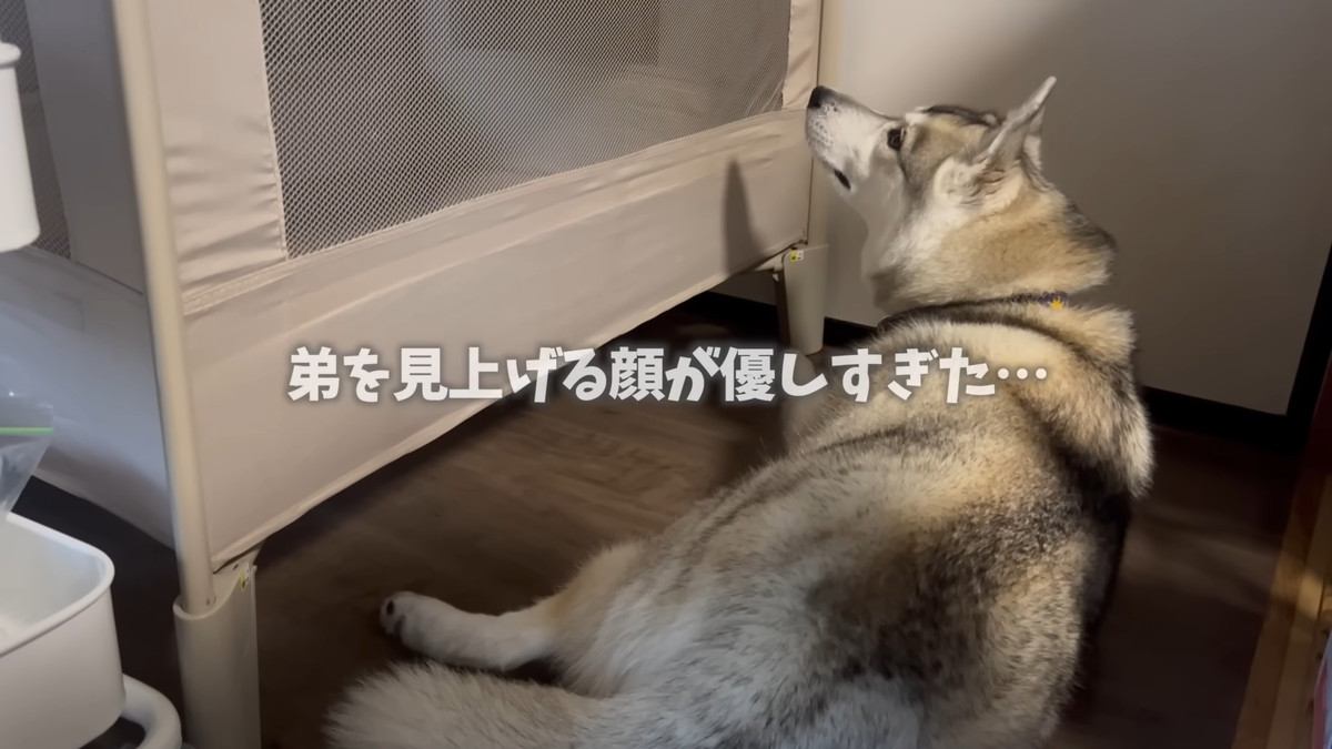 頼もしいお姉ちゃんに感動♡