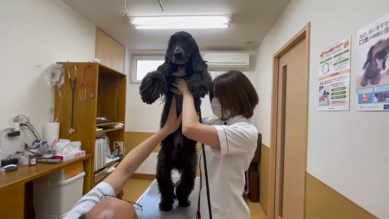 診察はすぐに終了