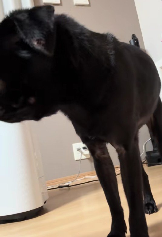 メリハリも抜群